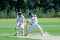 Stafford-Sansome-cuts