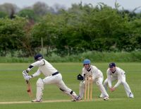 453141_IMG_3902_copy