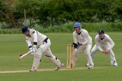 453143_IMG_3900_copy