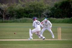 454632_IMG_4338_copy