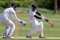 454635_IMG_4350_copy