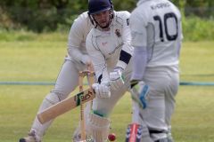 454637_IMG_4431_copy