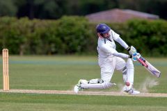 454643_IMG_4383_copy