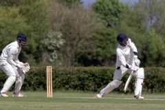 454650_IMG_4465_copy