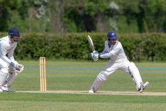 454652_IMG_4459_copy