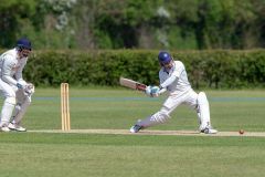454654_IMG_4460_copy