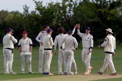 BNOCC-celebrate-a-wicket