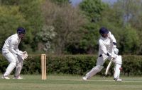 454650_IMG_4465_copy