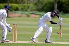 454634_IMG_4349_copy