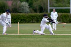 454639_IMG_4370_copy