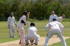 454645_IMG_4410_copy