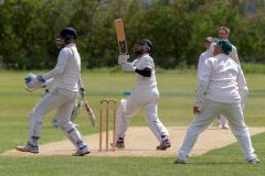 454646_IMG_4414_copy