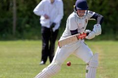 454659_IMG_4296_copy